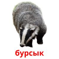 бурсык card for translate