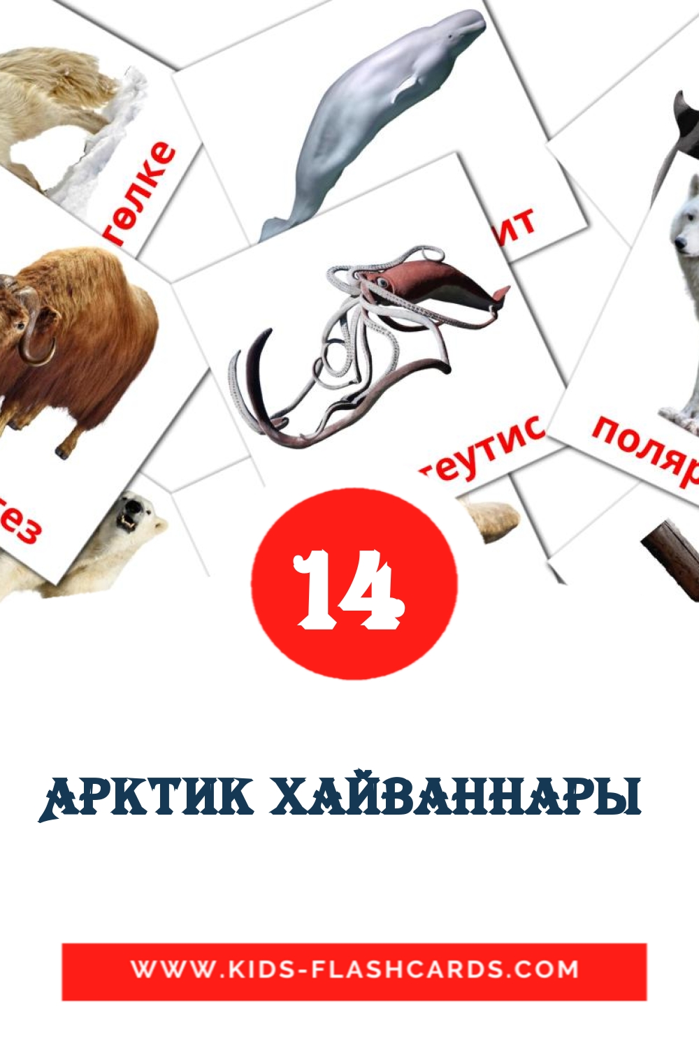 Арктик хайваннары  на татарском для Детского Сада (14 карточек)