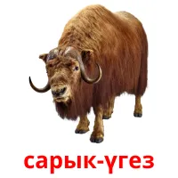 сарык-үгез cartões com imagens