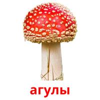 агулы card for translate