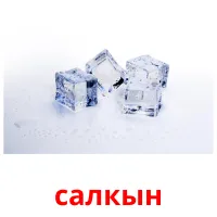 салкын cartes flash