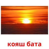 кояш бата picture flashcards