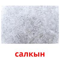 салкын picture flashcards