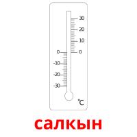 салкын picture flashcards