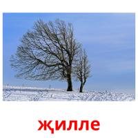 җилле picture flashcards