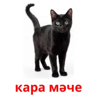 кара мәче picture flashcards