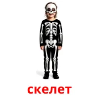 скелет picture flashcards