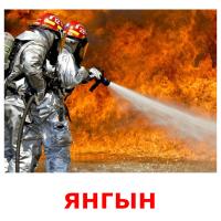 янгын picture flashcards
