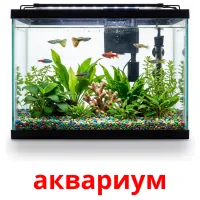 аквариум bildekort