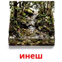 инеш bildekort