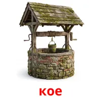кое bildekort