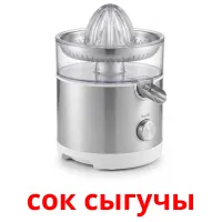 сок сыгучы карточки энциклопедических знаний