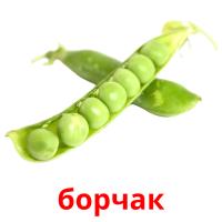 борчак card for translate