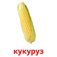 кукуруз card for translate