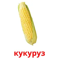 кукуруз Bildkarteikarten