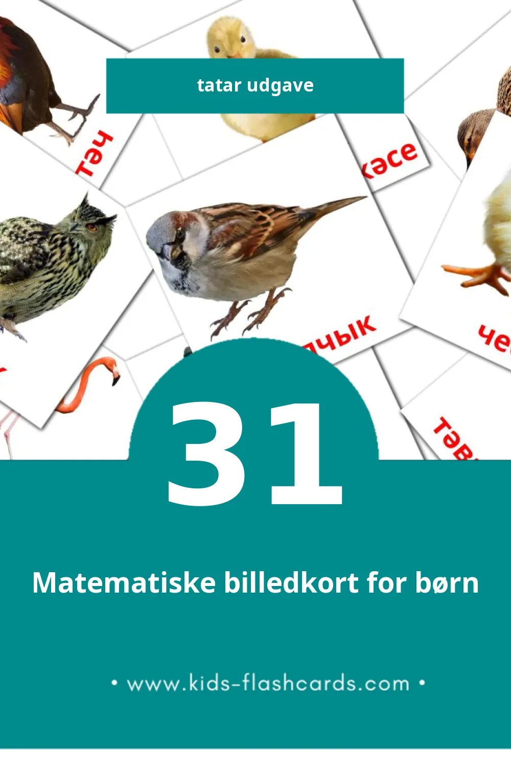 Visuelle billedkort for børn om Кош-корт til småbørn (31 kort på Tatar)