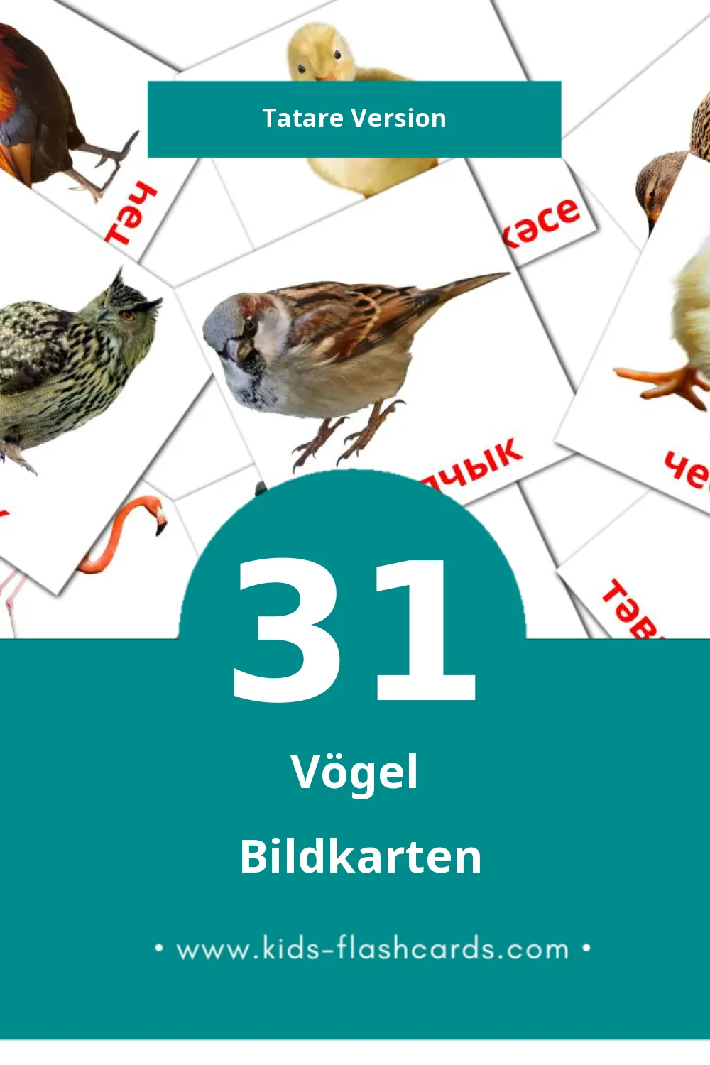 Visual Кош-корт Flashcards für Kleinkinder (31 Karten in Tatar)