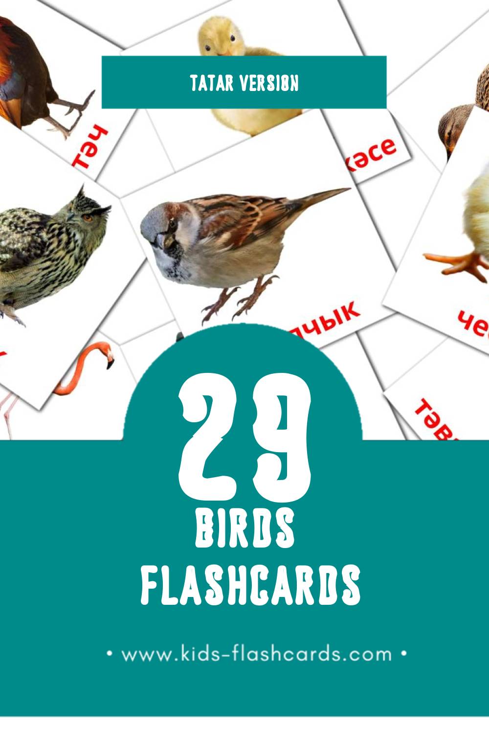 Visual Кош-корт Flashcards for Toddlers (29 cards in Tatar)