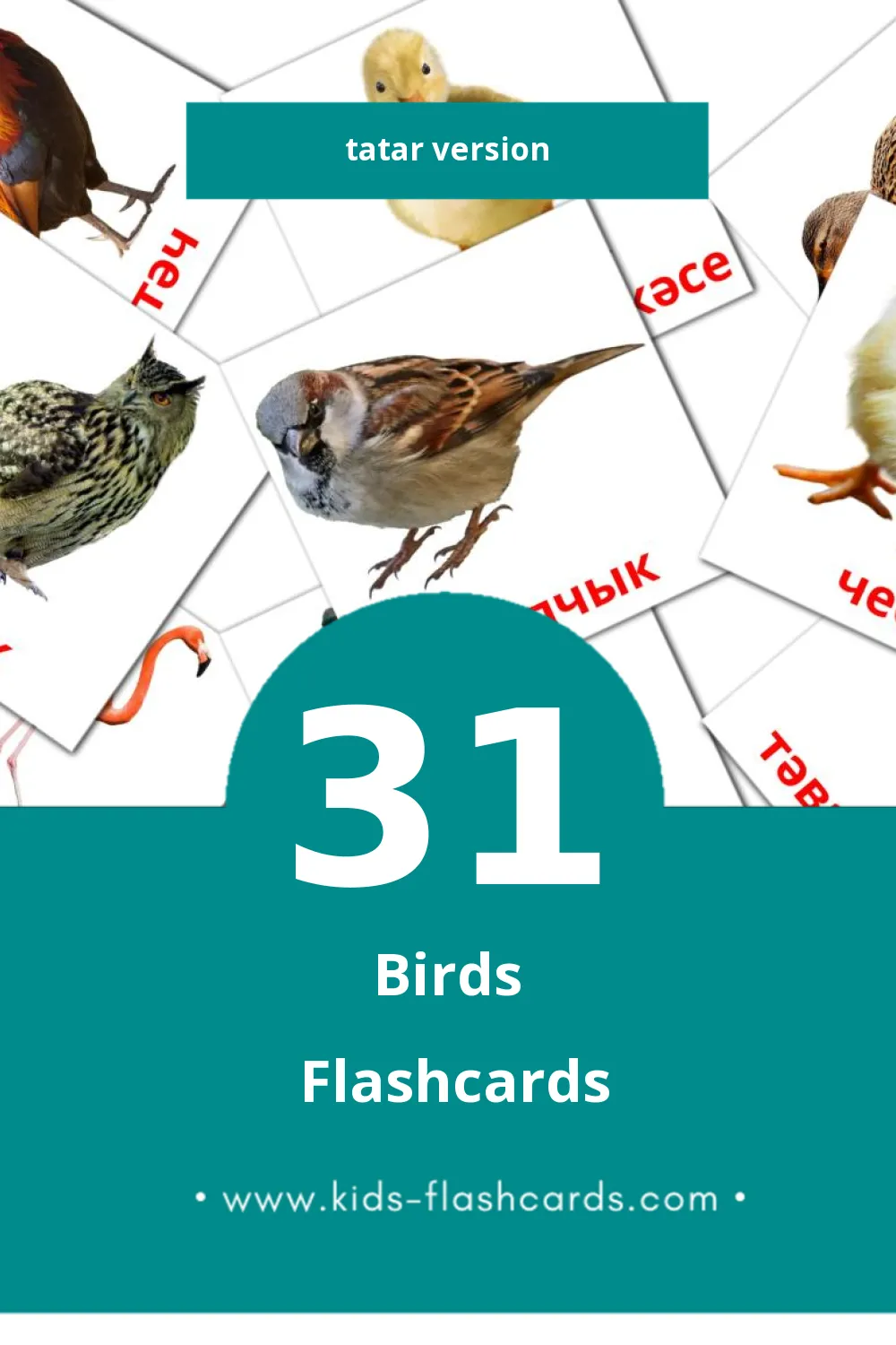 Visual Кош-корт Flashcards for Toddlers (31 cards in Tatar)