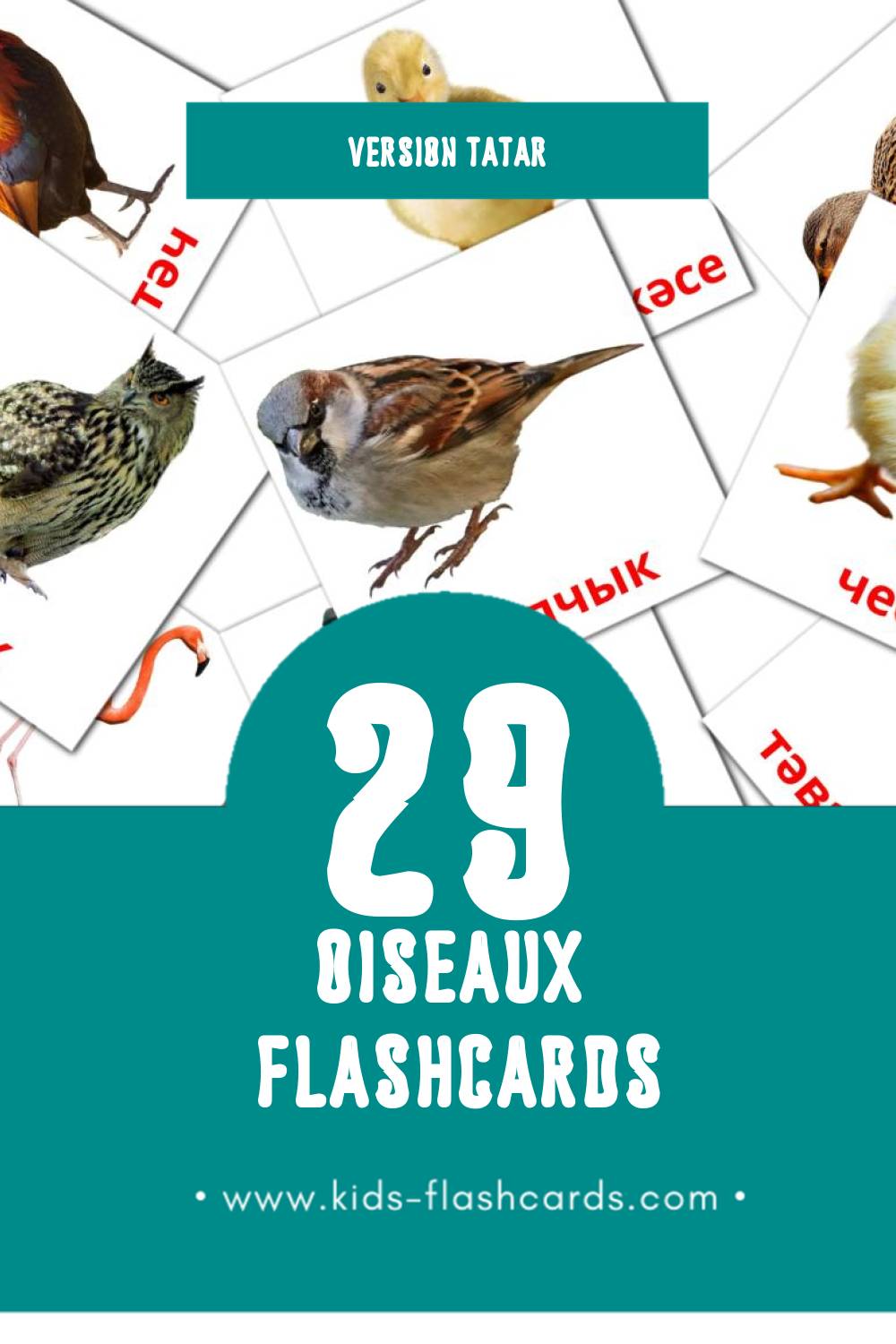Flashcards Visual Кош-корт pour les tout-petits (29 cartes en Tatar)