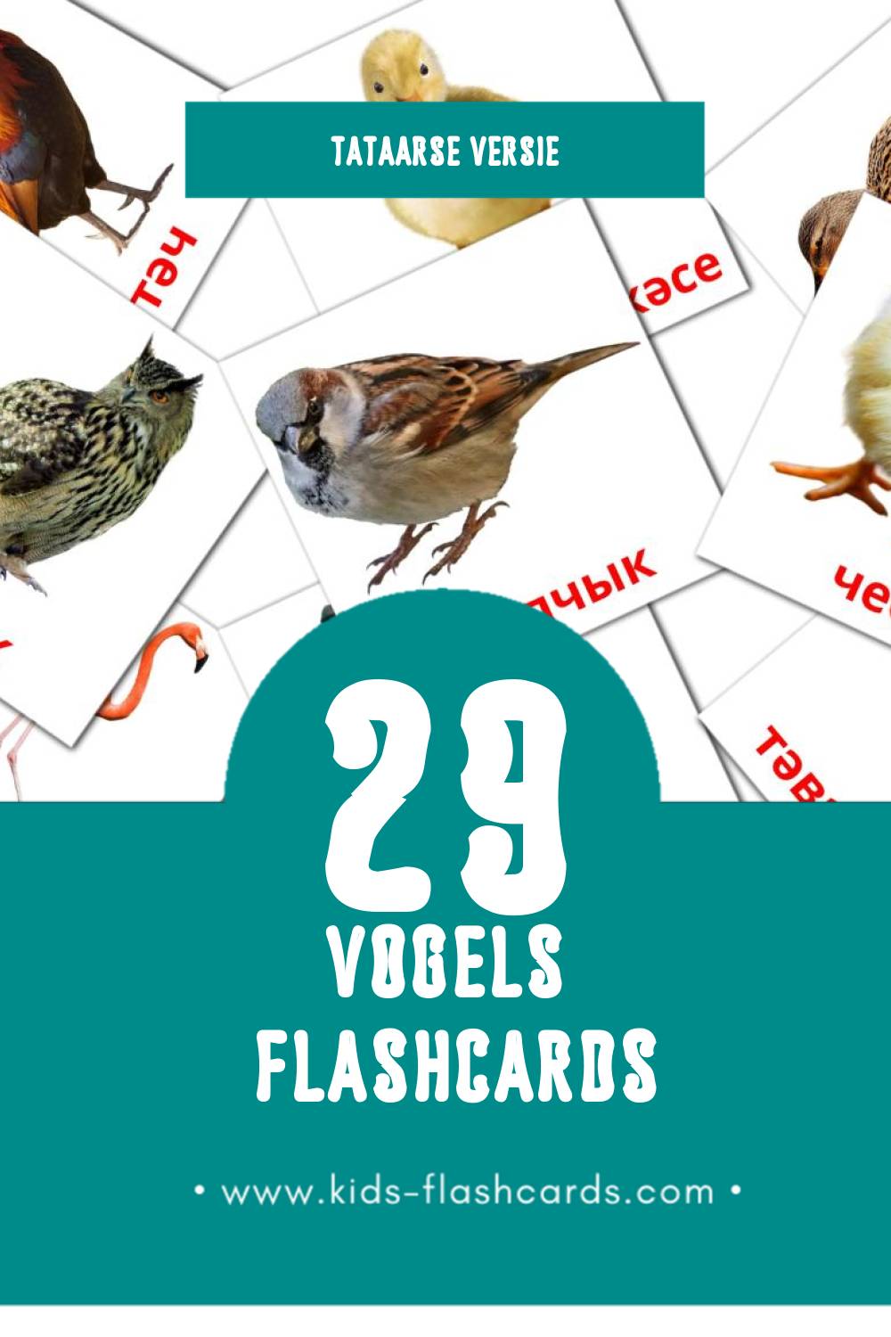 Visuele Кош-корт Flashcards voor Kleuters (29 kaarten in het Tataars)