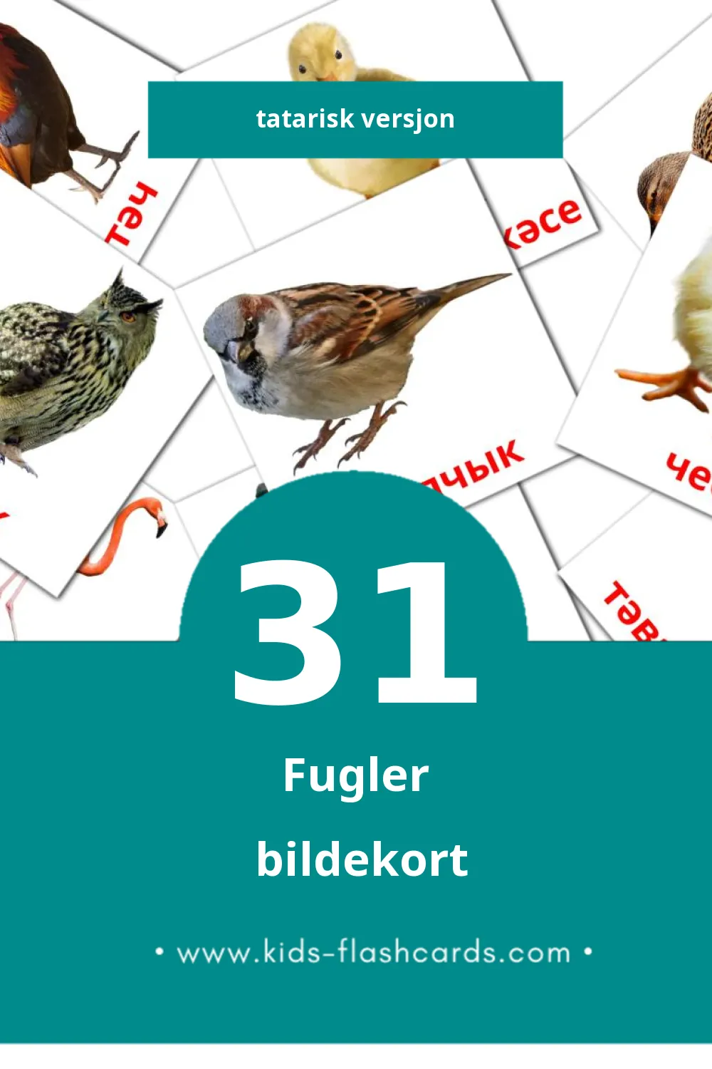 Visuelle Кош-корт bildekort for småbarn (31 kort på Tatarisk)