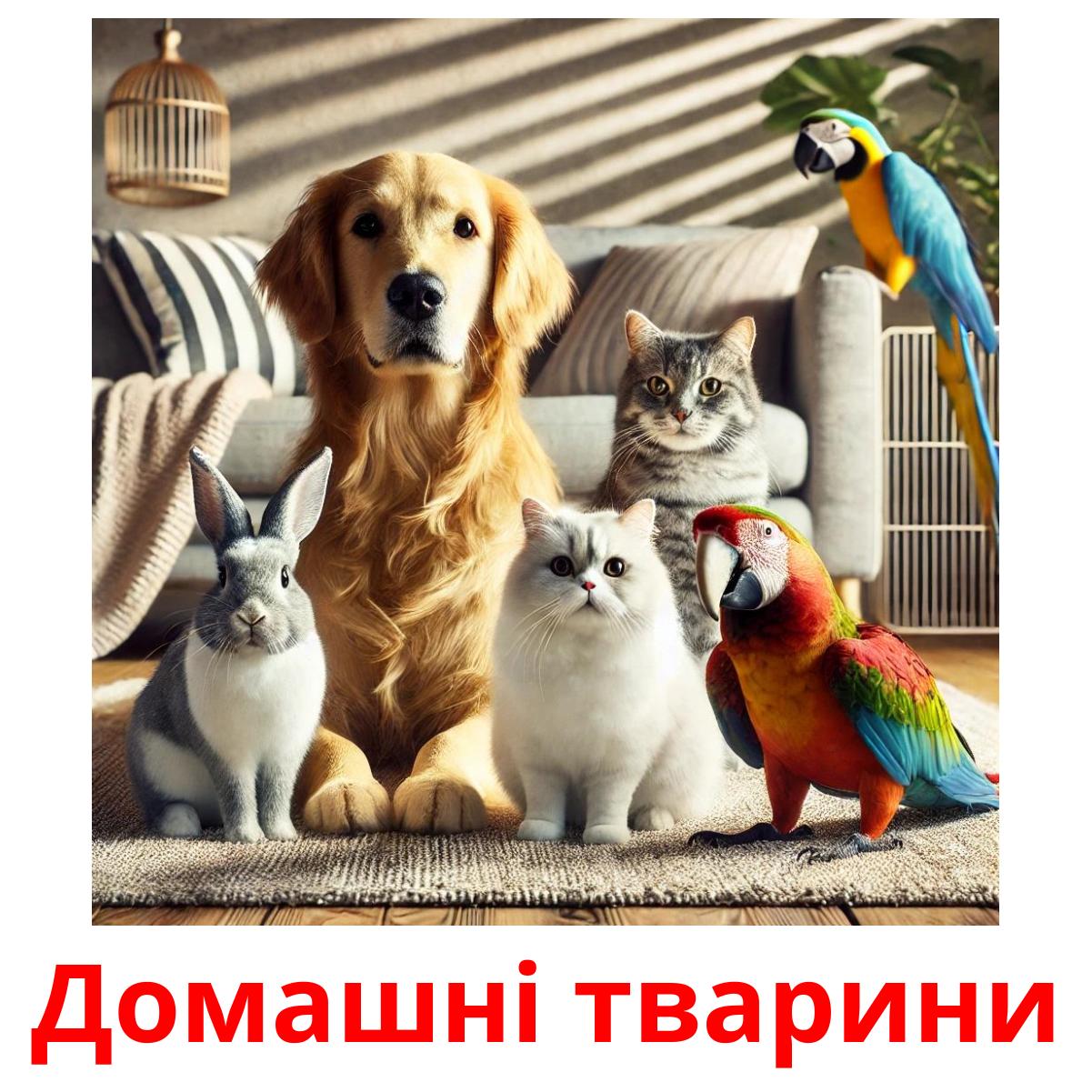 Домашнi тварини picture flashcards