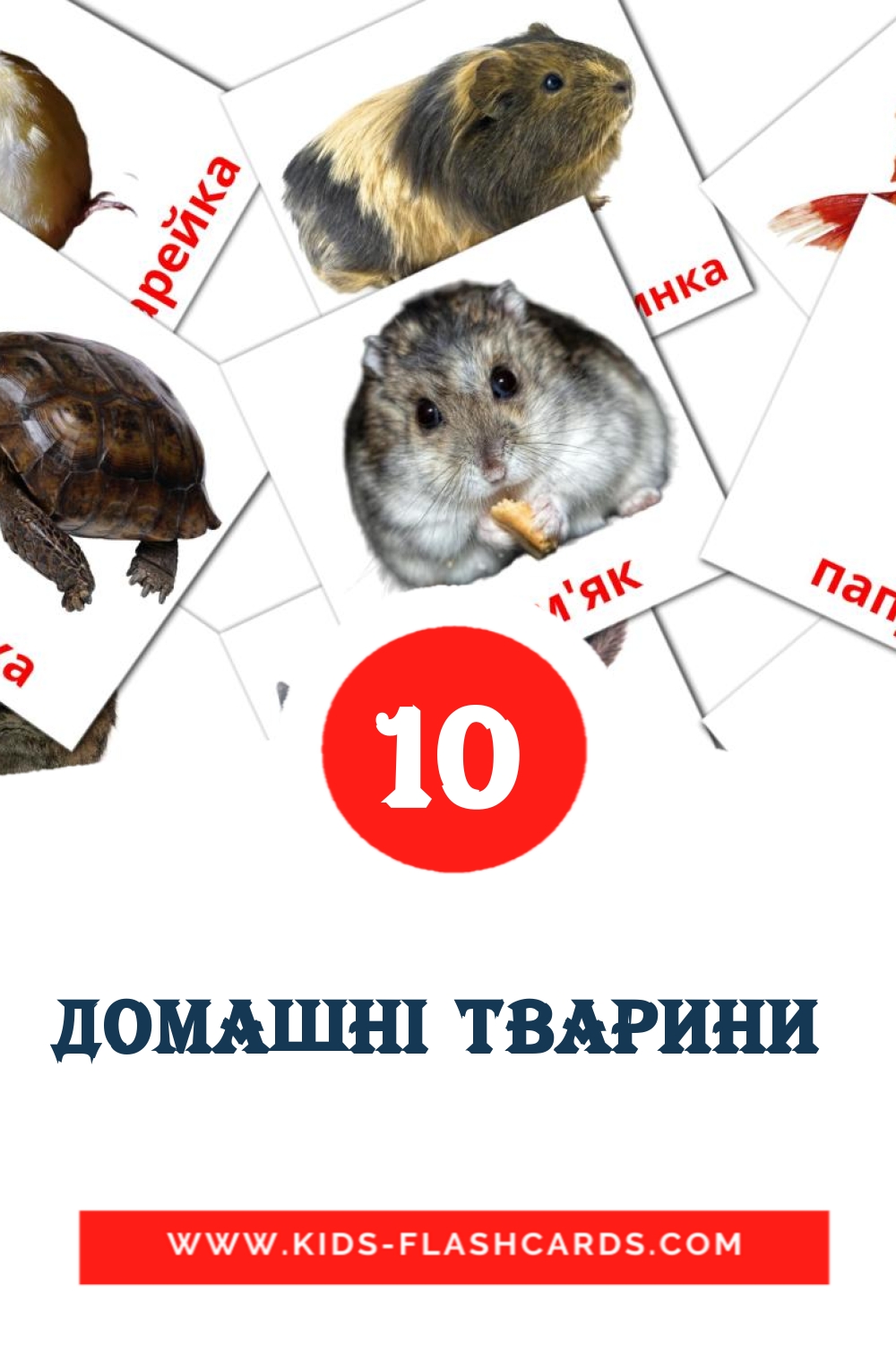 10 Домашнi тварини  Picture Cards for Kindergarden in ukrainian
