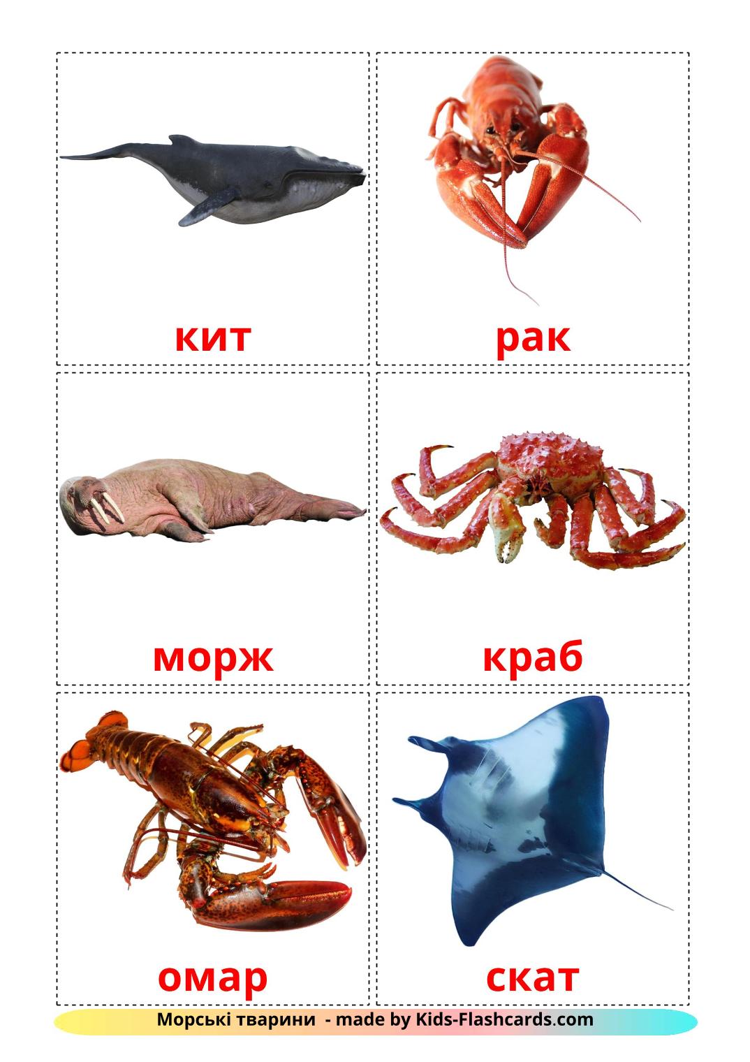Sea animals - 29 Free Printable ukrainian Flashcards 