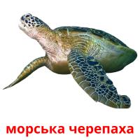 морська черепаха card for translate