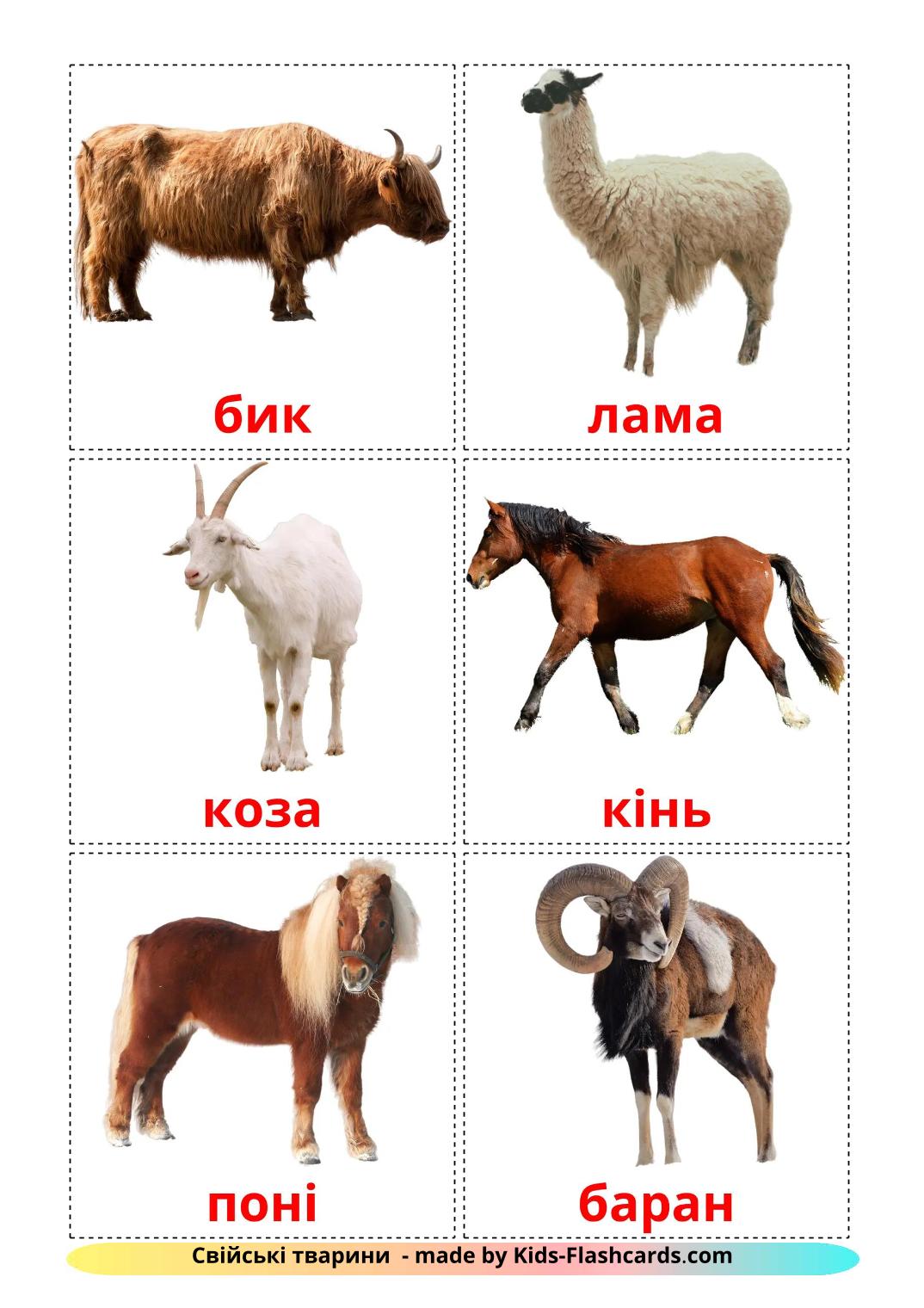 Farm animals - 16 Free Printable ukrainian Flashcards 