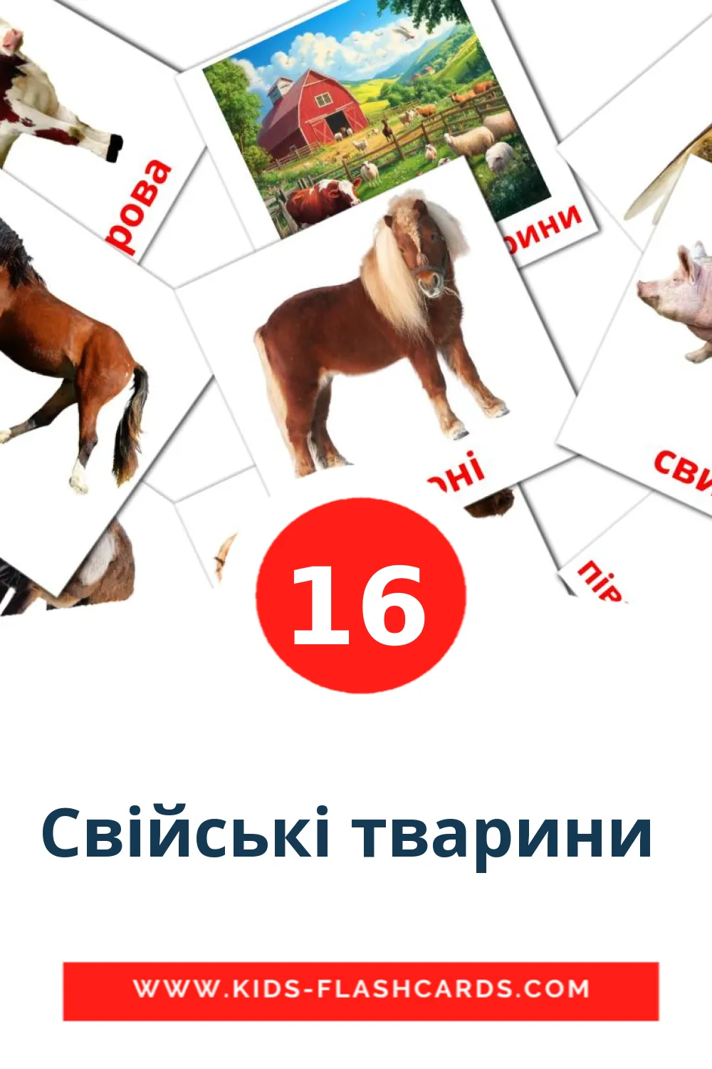 16 Свiйськi тварини  Picture Cards for Kindergarden in ukrainian