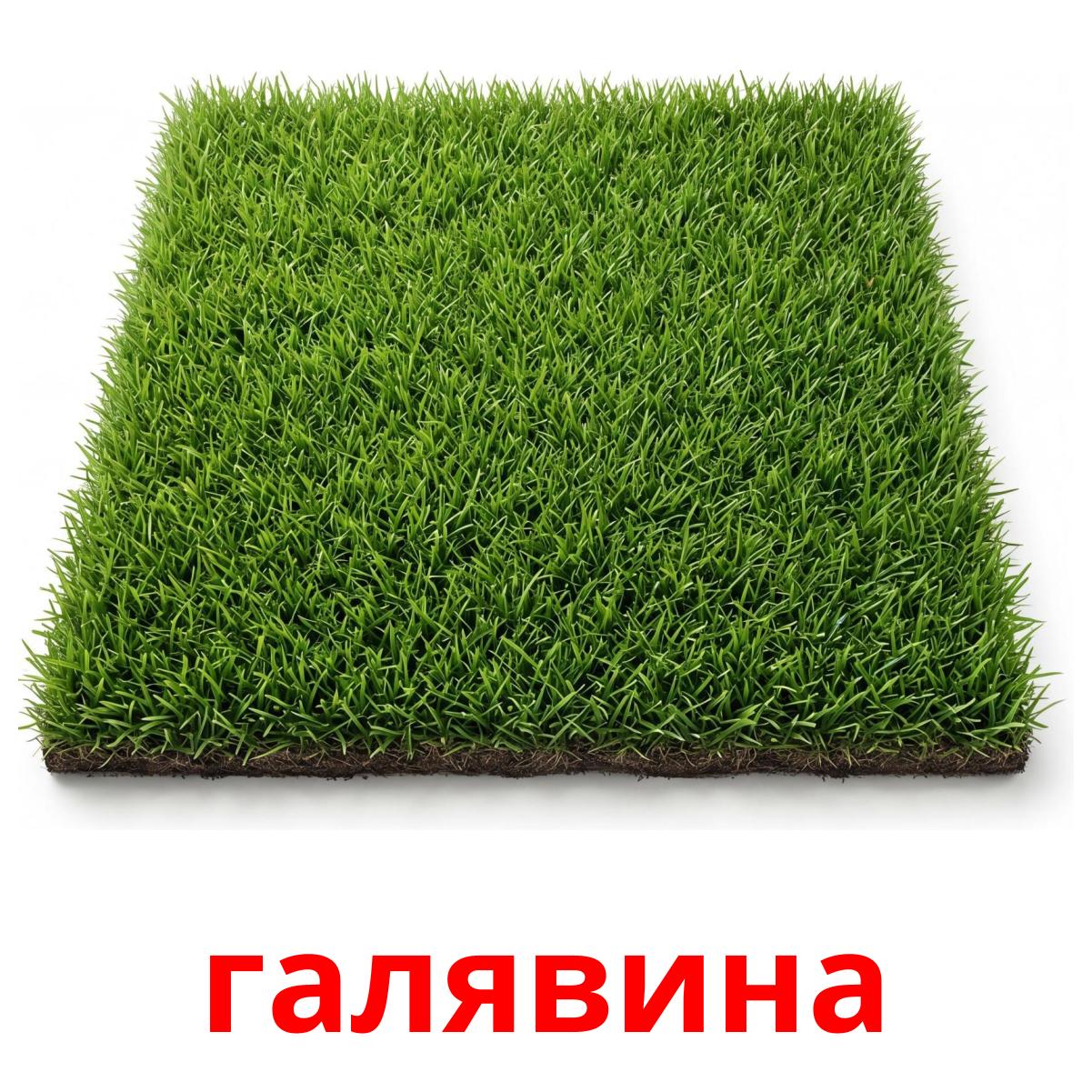 Лужайка Интернет Магазин Барнаул