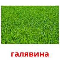 галявина picture flashcards