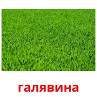 галявина picture flashcards