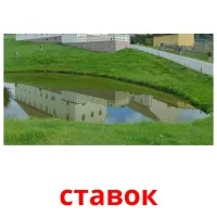 ставок picture flashcards