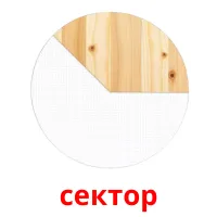 сектор picture flashcards