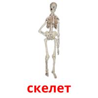 скелет card for translate