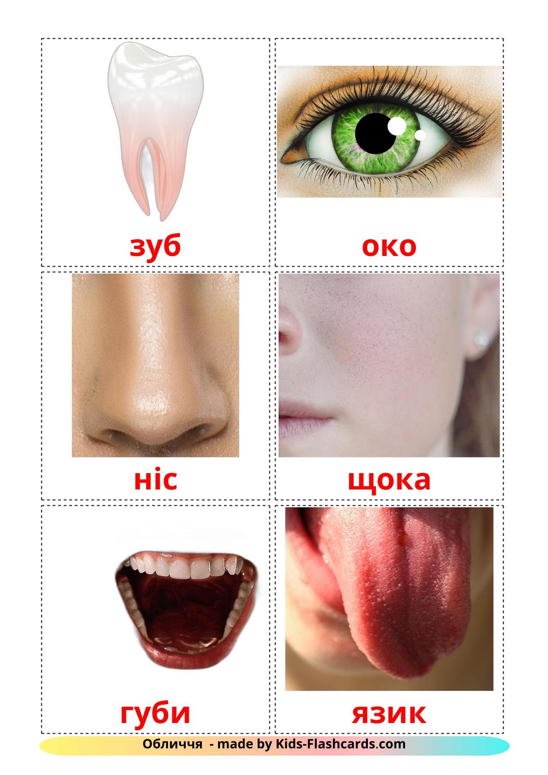 Gesicht - 20 kostenlose, druckbare Ukrainisch Flashcards 