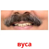 вуса picture flashcards