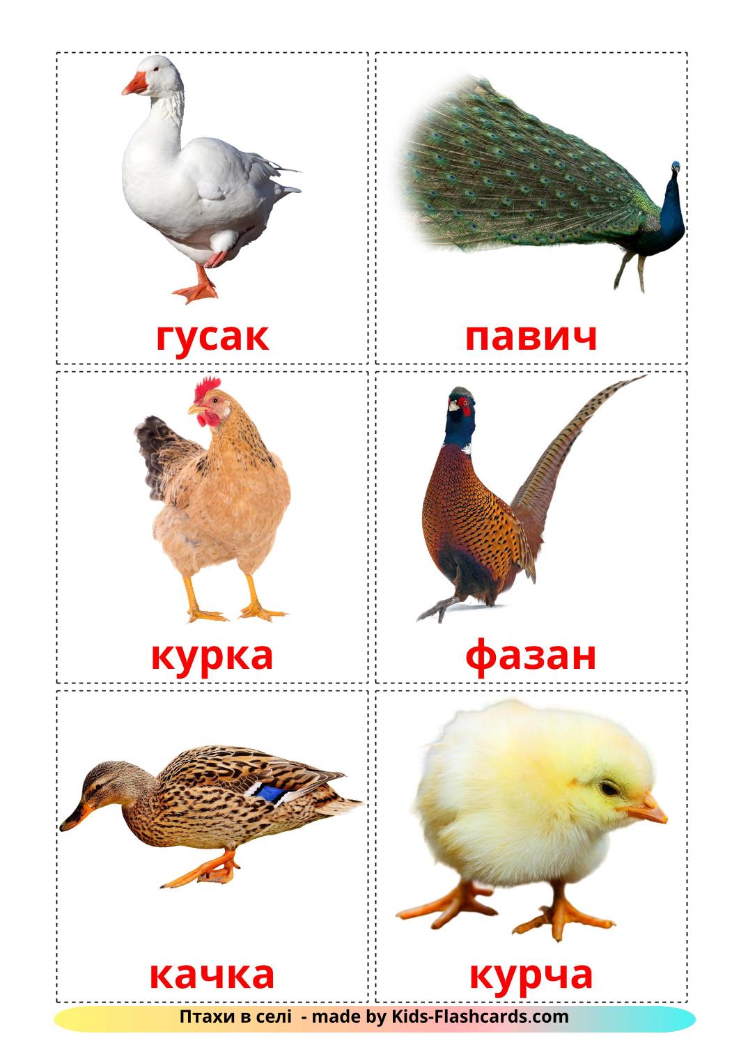 Les Oiseaux de Ferme - 11 Flashcards ukrainien imprimables gratuitement