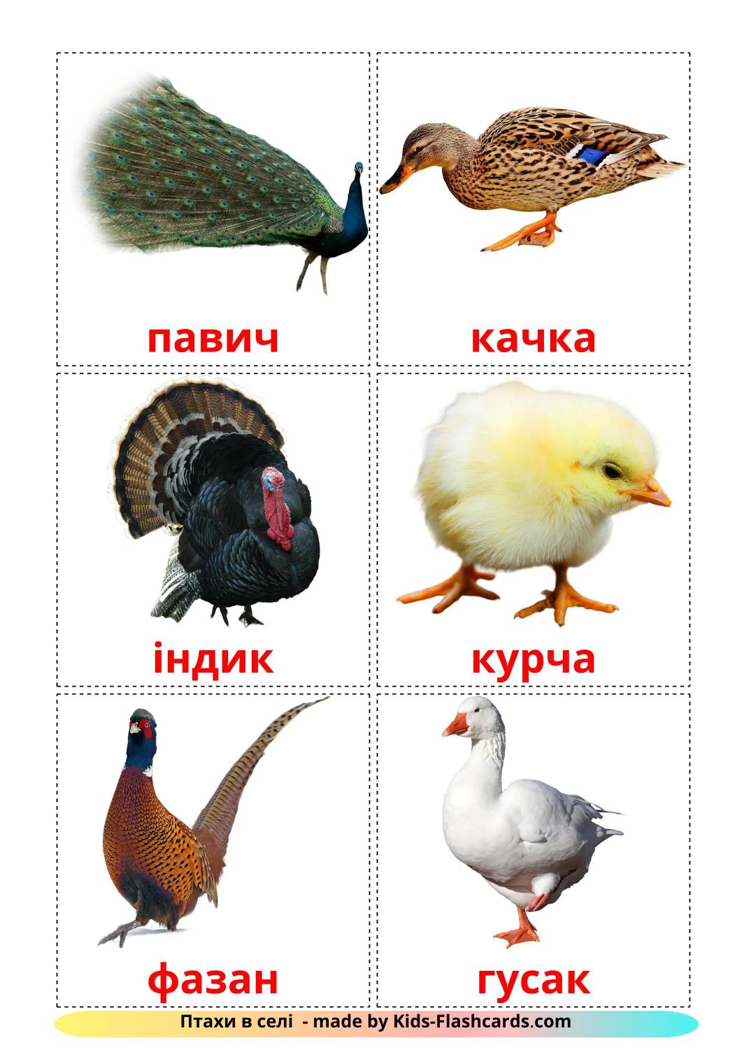 Farm birds - 12 Flashcards ukrainian imprimables gratuitement