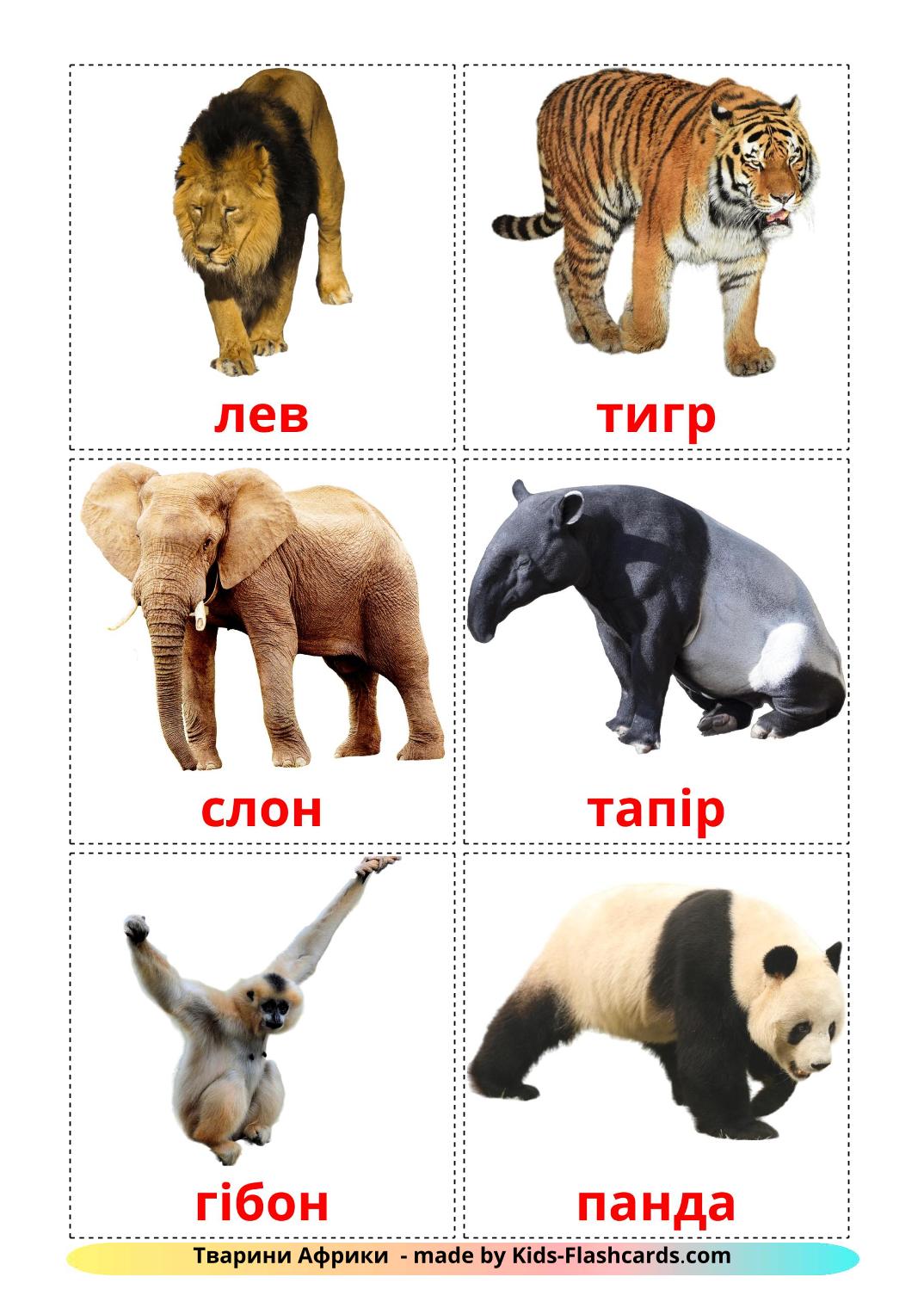 Jungle animals - 21 Free Printable ukrainian Flashcards 