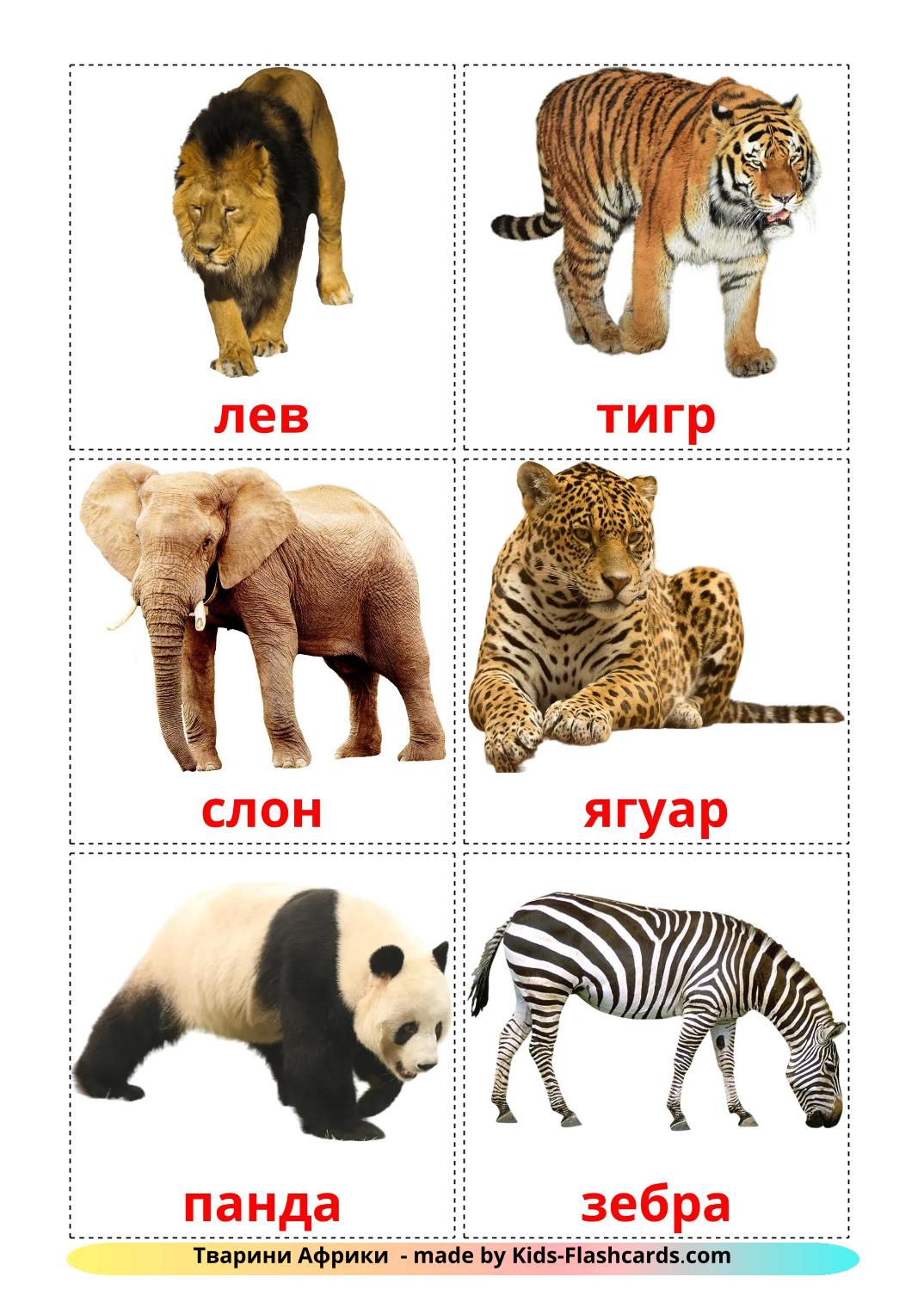 Jungle animals - 22 Free Printable ukrainian Flashcards 