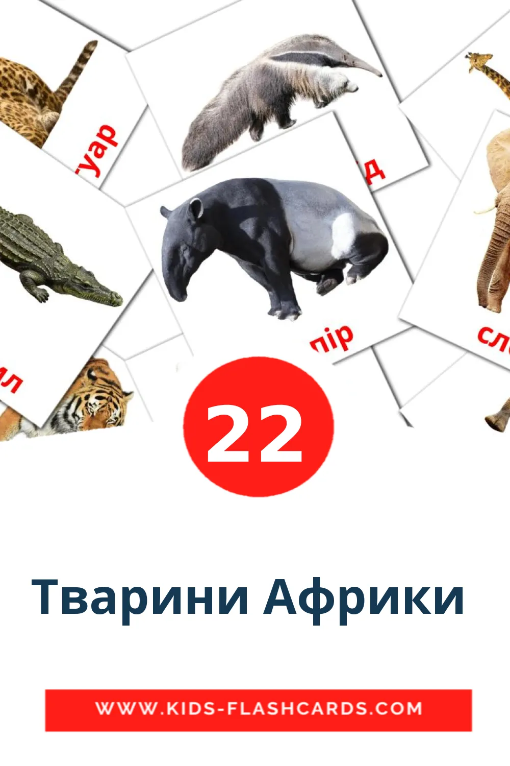 22 Тварини Африки  Picture Cards for Kindergarden in ukrainian