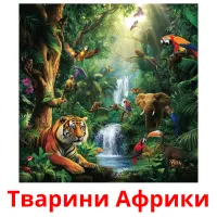 Тварини Африки picture flashcards