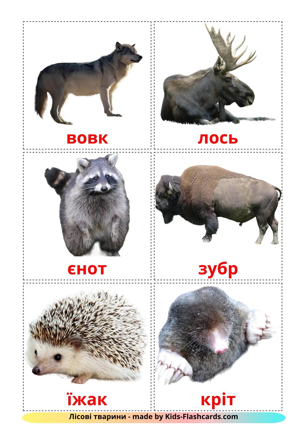 Forest animals - 23 Free Printable ukrainian Flashcards 