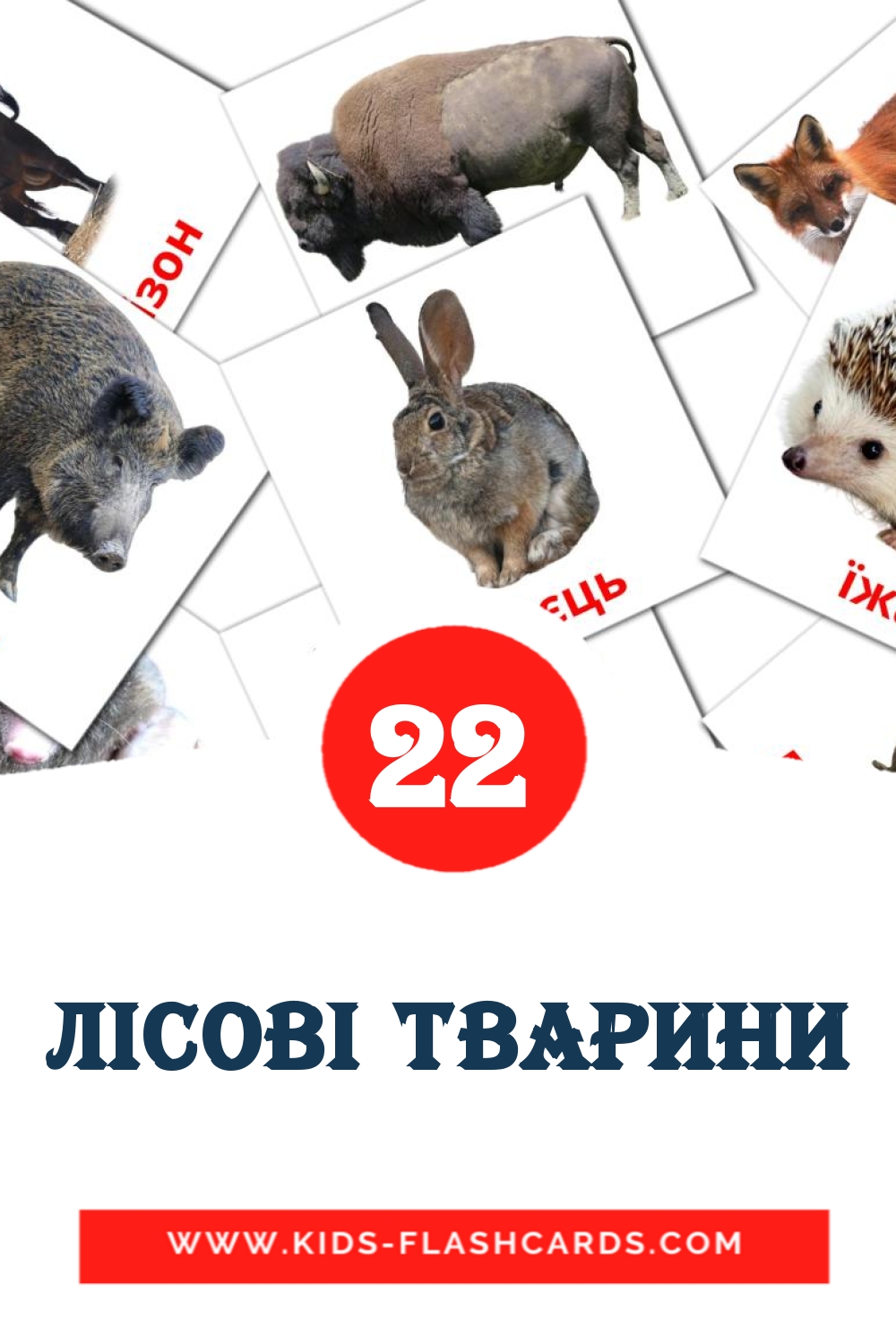 22 Лісові тварини Picture Cards for Kindergarden in ukrainian