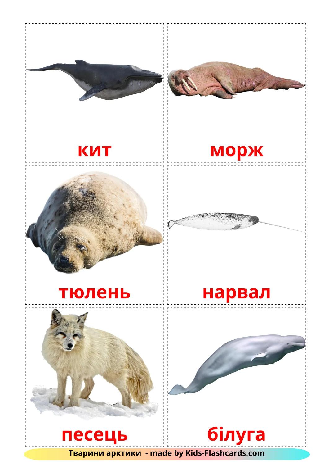 Arctic animals - 15 gratis printbare ukrainiane kaarten