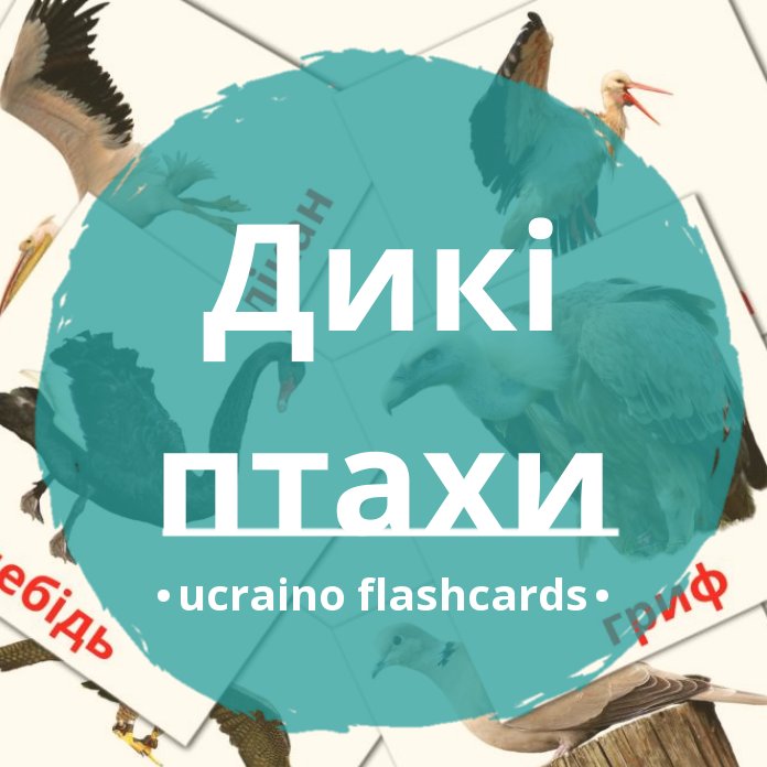 18 Flashcard GRATUITE sui Uccelli selvaggi in 4 Formati PDF